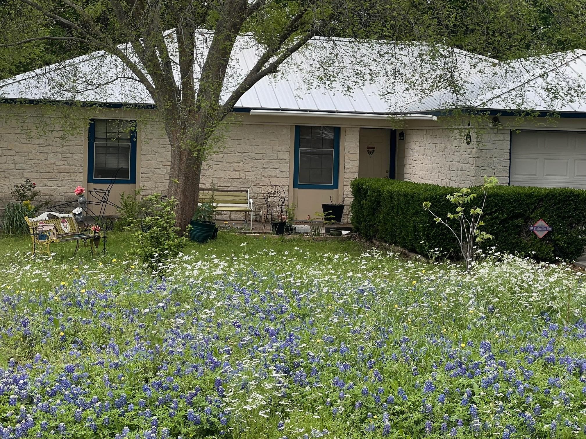 217  GREEN PASTURE Dr