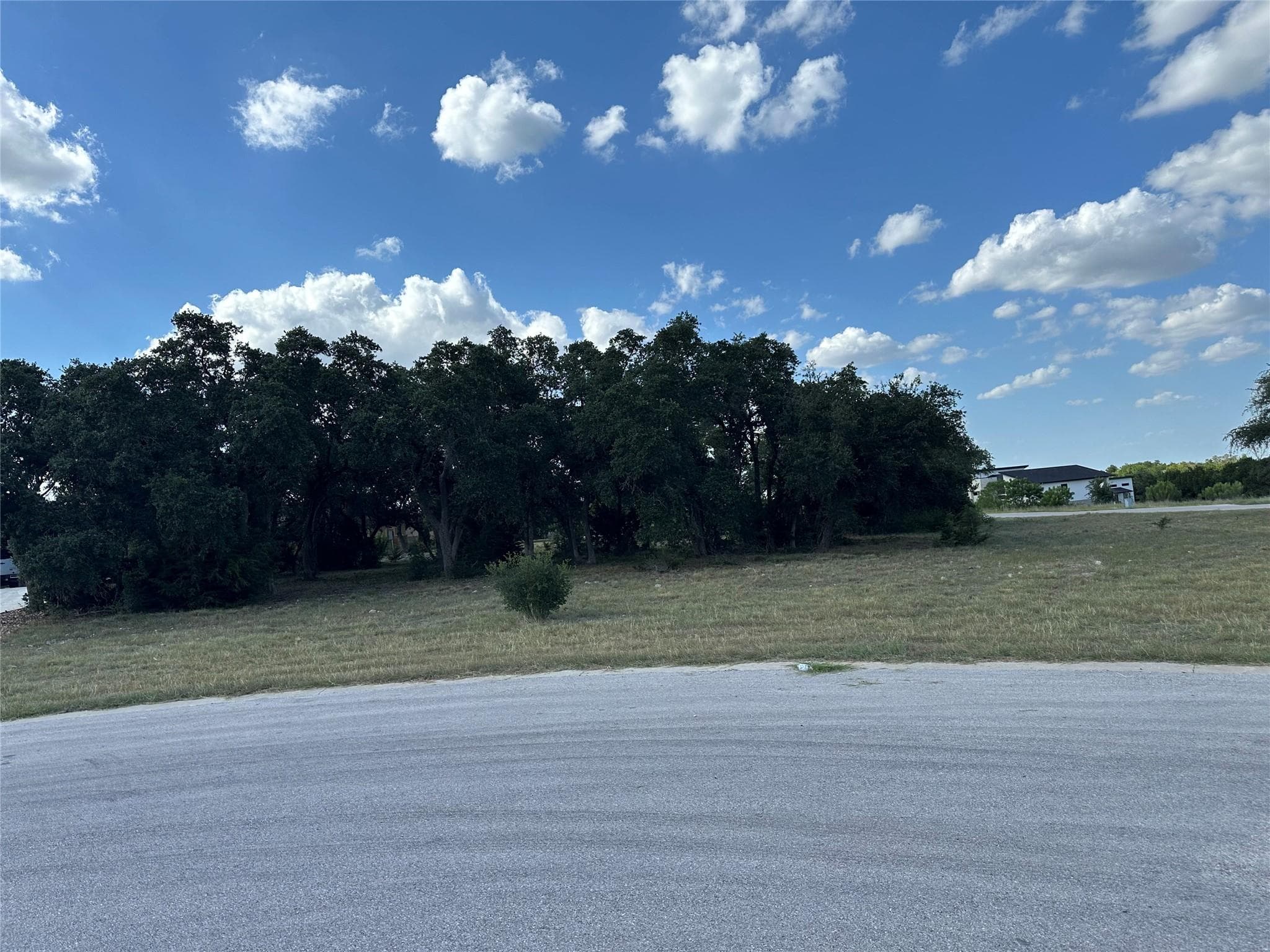 2201  Whitt Falls Cv