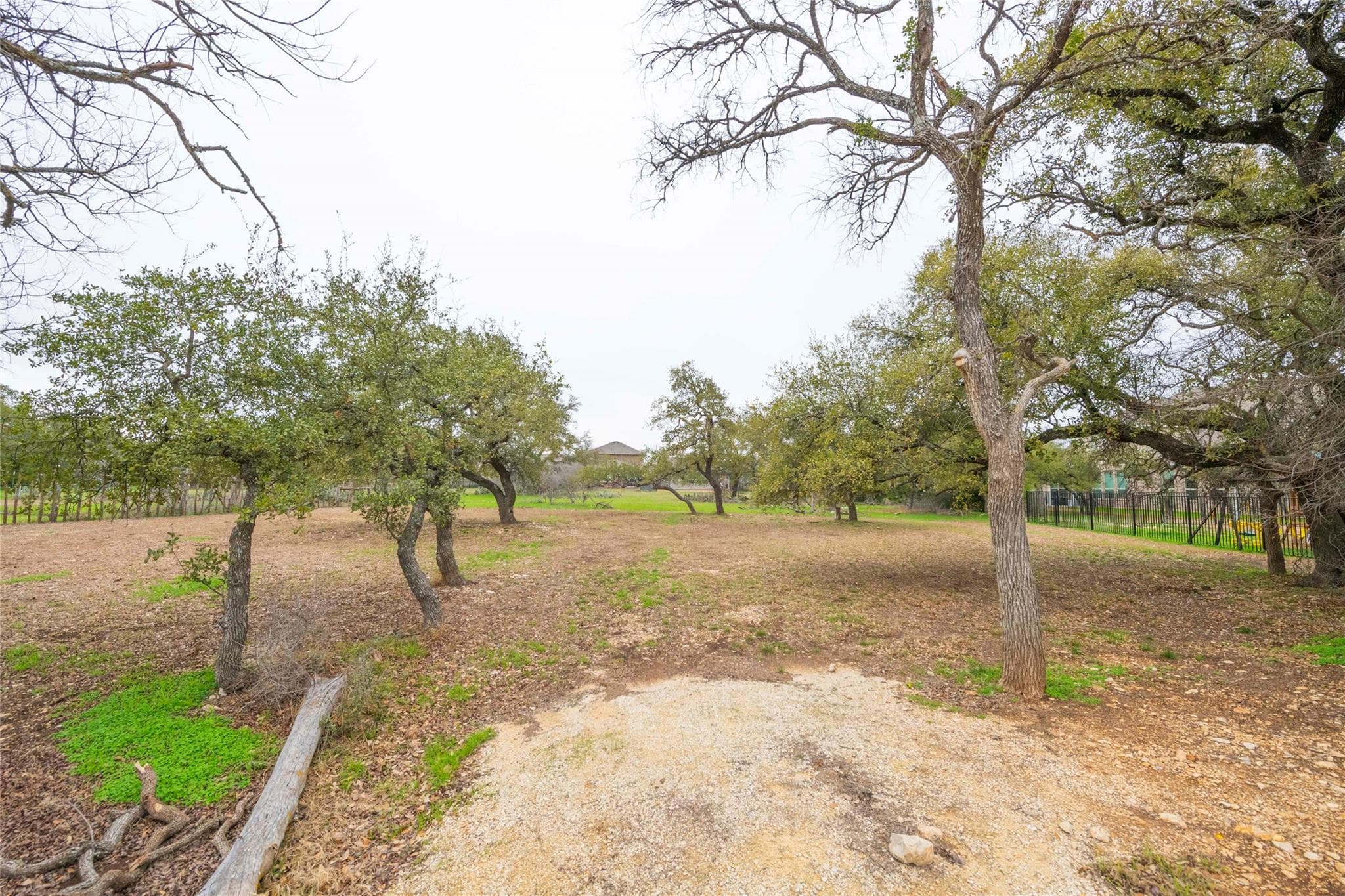110  Stately Oak Dr