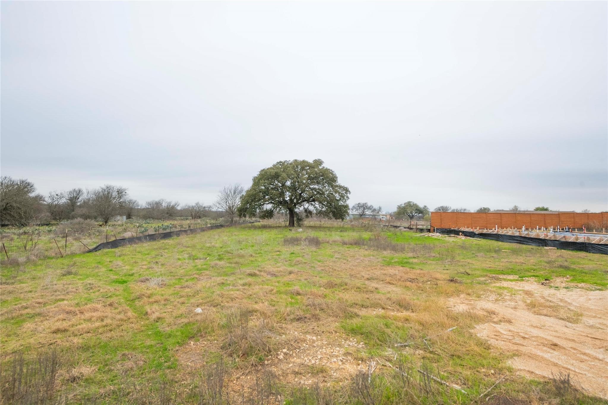312  Monterey Oak Trl