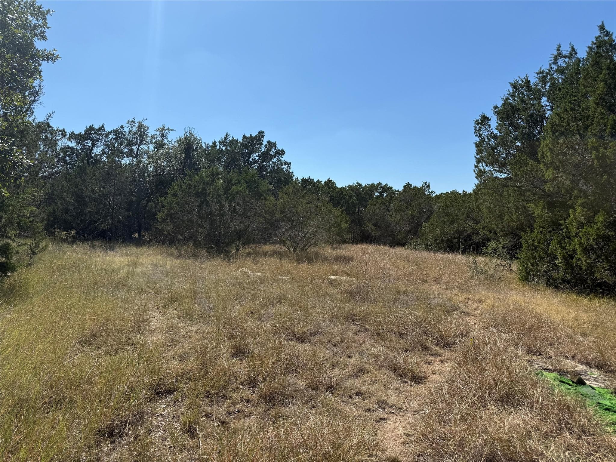 917  Roy Creek Trl