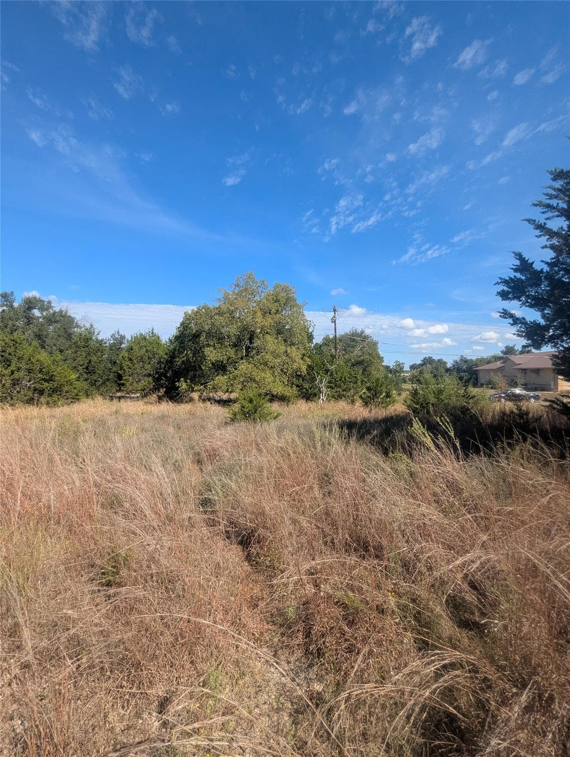 201  Springlake Dr  