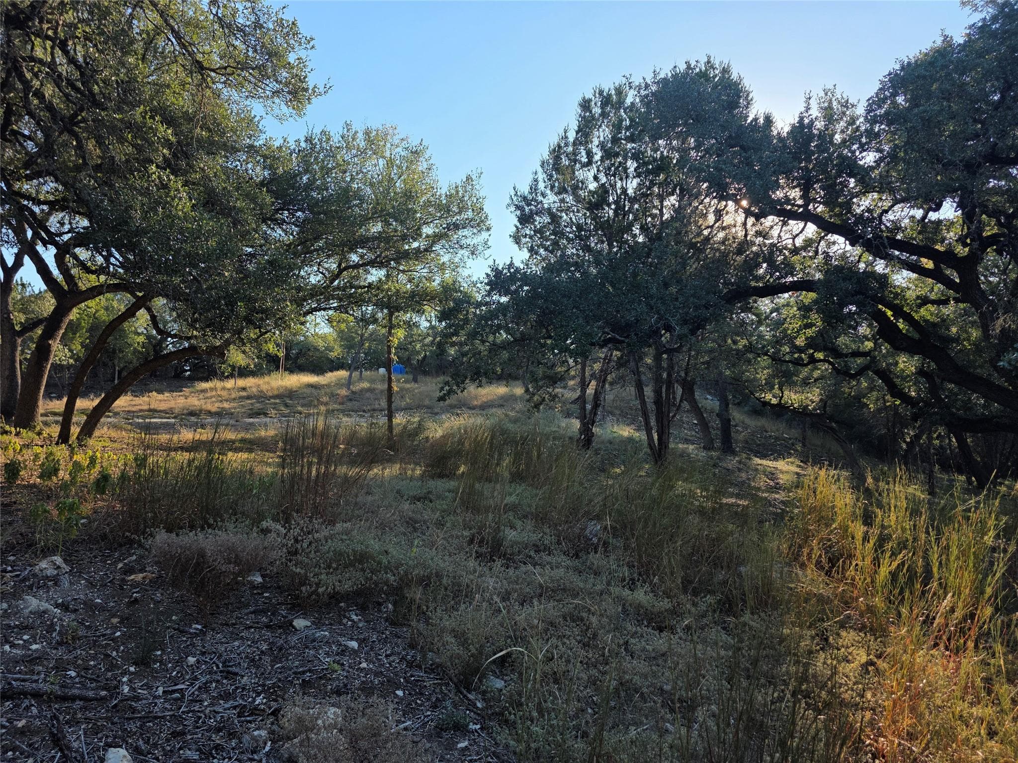 201  Sycamore Valley Rd