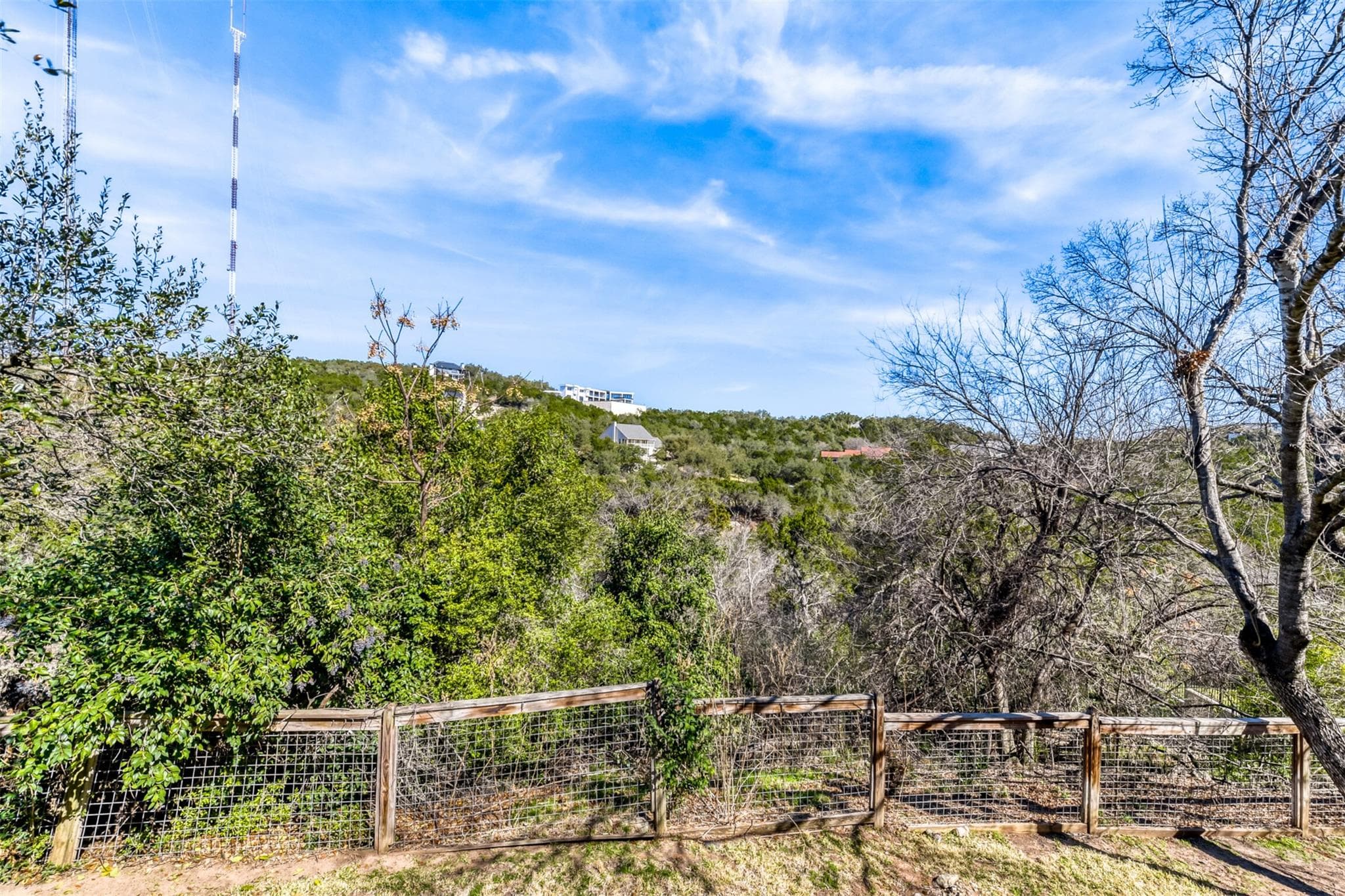 2717  Trail Of The Madrones None