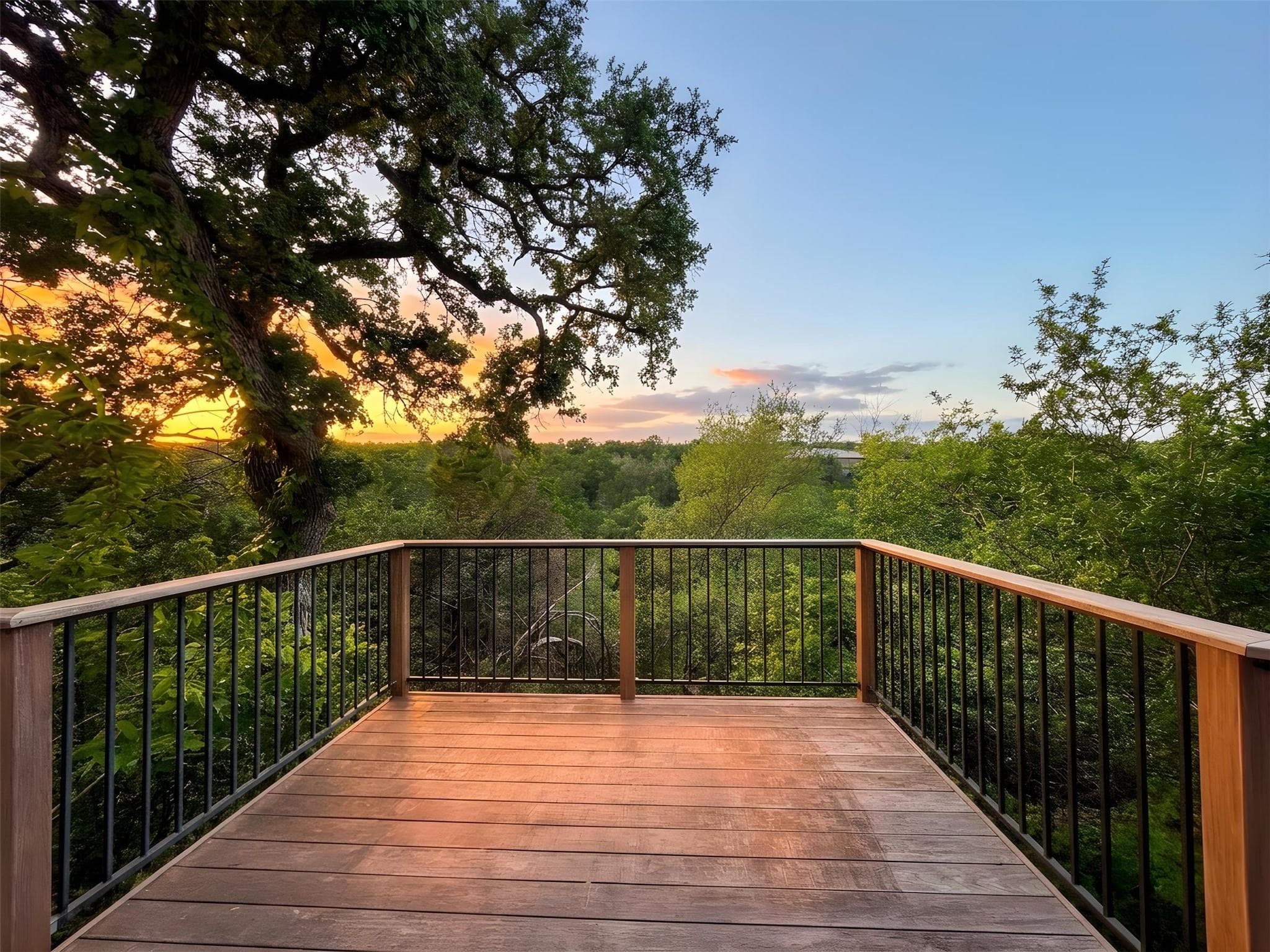 12421  Painted Bunting Dr